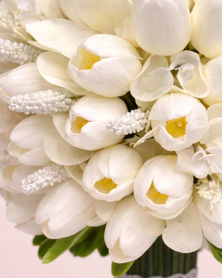 Ivory Tulip Bride